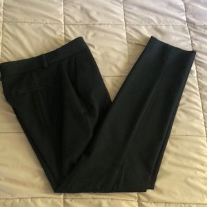 Express Straight Leg Dress Pants